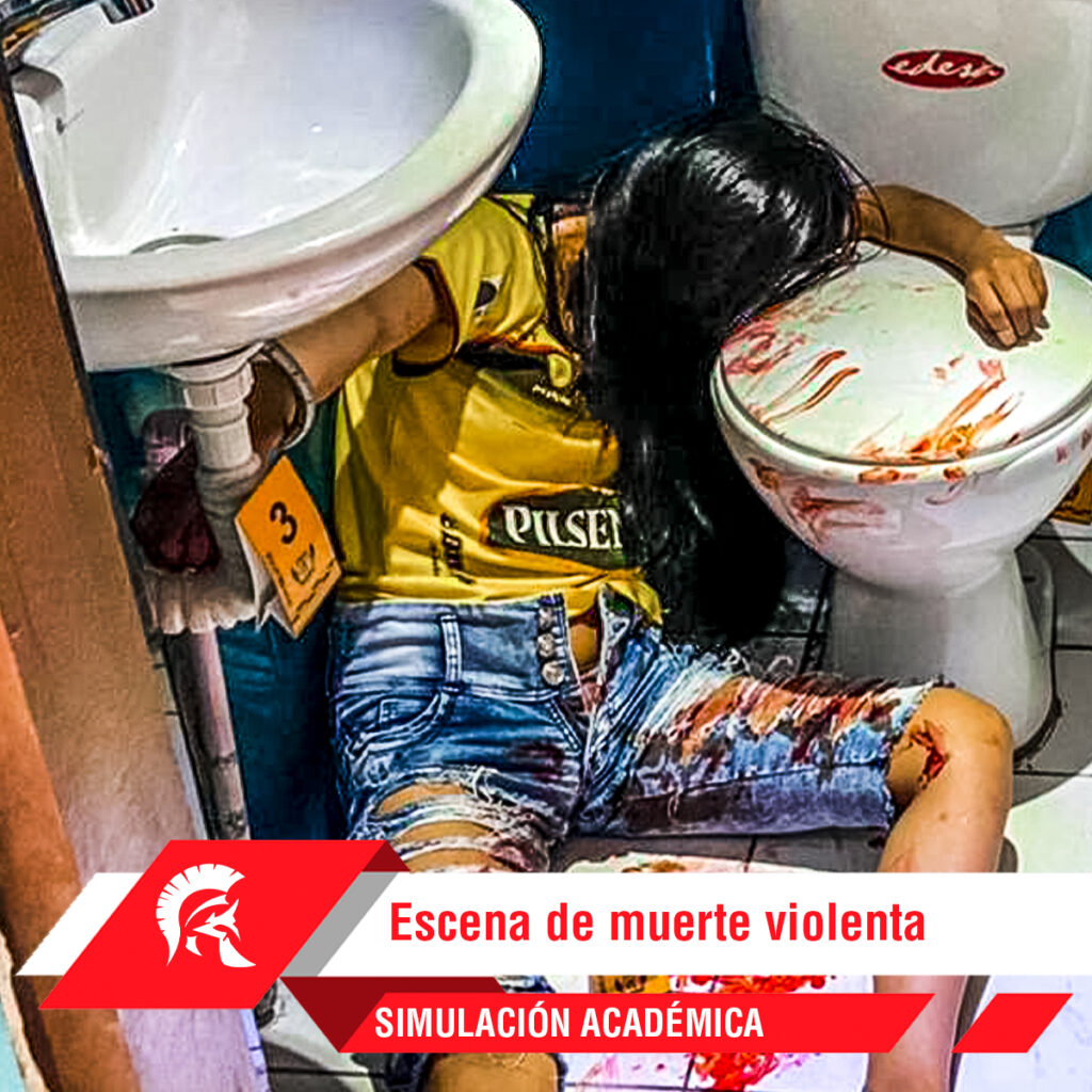 Simulación académica